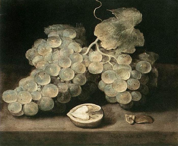 Jacob van Es Grape with Walnut oil painting picture